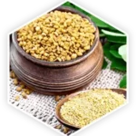 Fenugreek