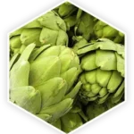 Artichoke Extract